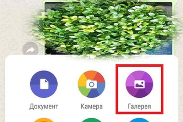 Вход в кракен чтобы купить меф