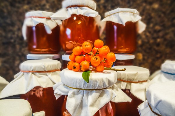 Кракен ссылка прокатис