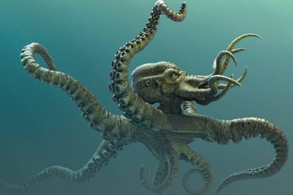 Кракен онион kraken dark link