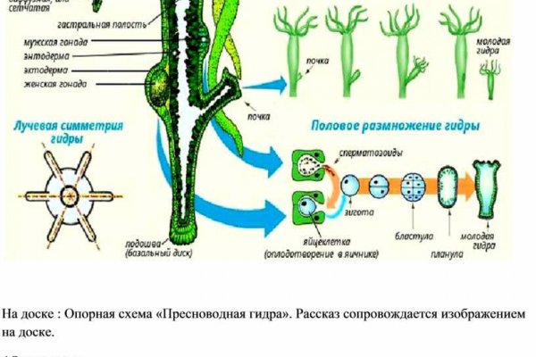 Кракен маркетплейс kr2web in