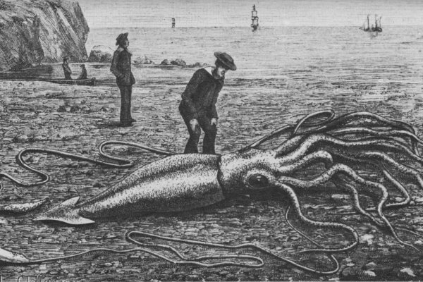 Kraken ссылка зеркало рабочее