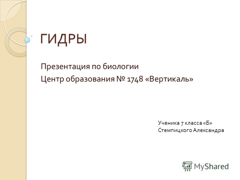 Hydra маркетплейс